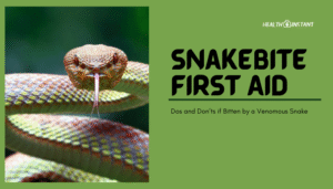 Snakebite First Aid- Dos and Don’ts if Bitten by a Venomous Snake